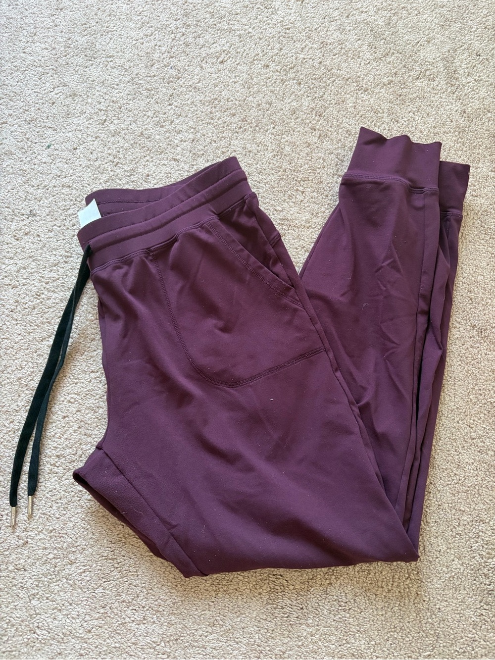 🦋 ZYIA ACTIVE - Purple Women’s Large Joggers